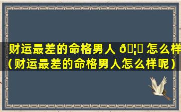 财运最差的命格男人 🦉 怎么样（财运最差的命格男人怎么样呢）